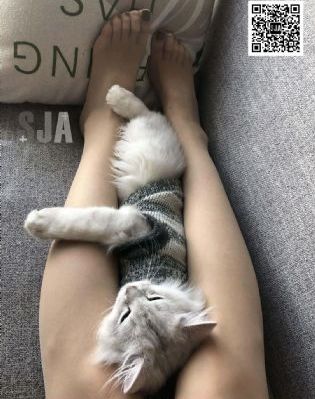 就算是欧尼桑也想_剧情片免费观看电视剧