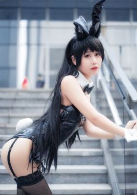 汪汪队立大功40集动画片国语版_DVD全集免费播放
